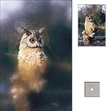 Cokin Series P Gray Diffuser w/Center Spot