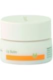 Dr. Hauschka Lip Balm, 0.15 Fluid Ounce