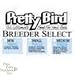 PB BREEDER SELECT MEDIUM 40LB