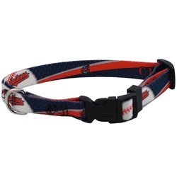 Cleveland Indians Pet Dog Collar (Medium)