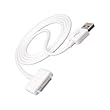 Apple Dock Connector to USB Cable for iPod (White)