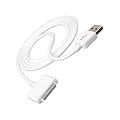 Apple Dock Connector to USB Cable for iPod (White)