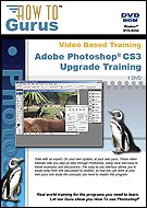 Adobe Photoshop CS2 and Photoshop CS3 Upgrade Training on 4 DVDs, 40 hours of video tutorial training