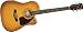 Ibanez PF25ECEWC PF Series Acoustic Electric Guitar (Vintage Sunburst)