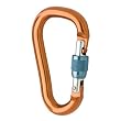 Black Diamond RockLock Screwgate Carabiner