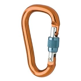 Black Diamond RockLock Screwgate Carabiner