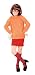 Scooby-Doo Velma Child Halloween Costume (Small)