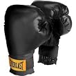 Everlast Train Advanced Wristwrap Boxing Gloves (Black, 14-Ounce)