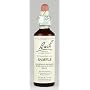 Bach Essence Cherry Plum 20 Liquids