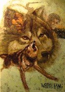 White Fang - Educator Classic Library - Complete and Unabridged