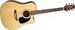 Jasmine by Takamine ES33C Acoustic Guitar Pack