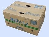 じゃがいも 種イモ 男爵薯 10Kg