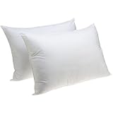 Carpenter Jumbo Sham Stuffer Pillow, Set of 2