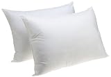 Carpenter Jumbo Sham Stuffer Twin Pack Pillow