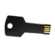2GB Metal Key USB 2.0 Flash Drive Black