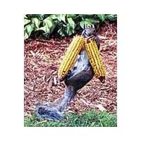 Squngee Squirrel Feeder