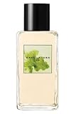 MARC JACOBS - Splash Fig