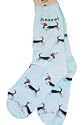 Basset Hound Poses Socks