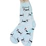 Basset Hound Poses Socks