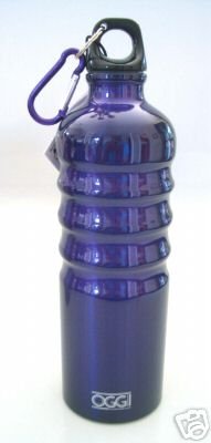Childrens Toyshop  Sporting Goods : Oggi Eco Friendly Purple Aluminum Sports Water Bottle with Screw-Top Loop Bottle Cap & Caribiner Clip