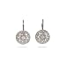 Eve's Addiction Sparkling Vintage Style Round Drop CZ Leverback Earrings
