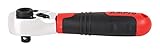 AMPRO T29871P 1/4-Inch Drive Mini Ratchet and Bit Driver [並行輸入品]