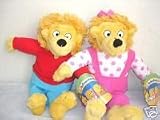 Berenstain Bears Brother and Sister 13 2 Pc Plush Doll Set