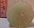 Candles Votive Scented Handmade in the Holy Land