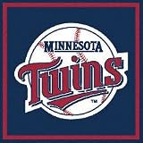 Minnesota Twins Paper Cube