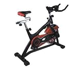 Stationary Exercise Bike Flywheel Red