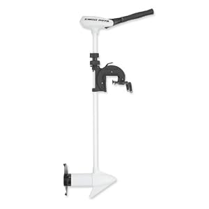 MinnKota RipTide 55 S Transom Mount Trolling Motor with Tilt Twist Tiller and Digital Maximizer (55lbs Thrust) by