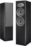 CELESTION F28BL Dual 6.5- Inch 2-Way Tower Speaker (Black)