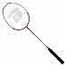 DHS 4203 Aluminum-Graphite Shaft Badminton Racket, Double Happiness (DHS)