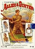 MLB 2008 ALLEN & GINTER