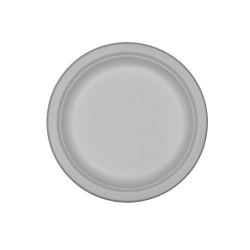 Stalkmarket 100% Compostable Sugar Cane Fiber Heavy Duty Plate, 10-Inch, 500-Count Case