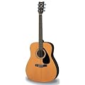Yamaha F310 - Acoustic Guitar - Basic Starter Pack