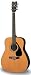Electronics : Yamaha F310 - Acoustic Guitar - Basic Starter Pack