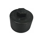 Pentair 154712 Drain Cap Replacement Pool and Spa Filter