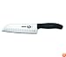 Victorinox 47529 Fibrox 7-Inch Granton Edge Santoku Knife