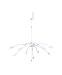 ���󥿡��ե���ࡡ�ڥ����ȥ饤�ȡ�ŷ������� warp wh LT2028-wh