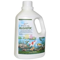 PondCare? AlgaeFix (1 Gallon)
