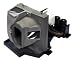 Optoma BL-FS180A Projector Lamp for DV11 Movie Time Home Theater Projector