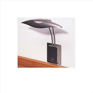 Raya Contemporary Picture Light in Nickel by Zaneen