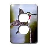 Birds - Hummingbird, Bird - Light Switch Covers - 2 plug outlet cover