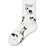 For Bare Feet-Border Collie Dog Adult Poses