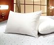 King Size White Goose Feather and Goose Down Pillows - Set of 2