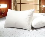 Queen Size White Goose Feather and Goose Down Pillows - Set of 2