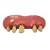 Billy Bob Teeth - Deliverance