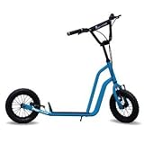 Buggycross バギークロス 新型 タヒチブルー 12inch BGW-12BL