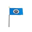 Minnesota Flag 4 x 6 inch